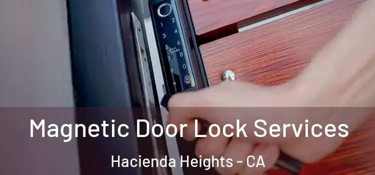 Magnetic Door Lock Services Hacienda Heights - CA